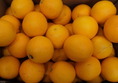 Foto Arance Varietà Midknight Calibro 72 Origine Sud Africa Marchio Grown 4u  2