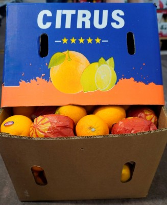 Foto Arance Varietà Valencia Calibro 64 Origine Egitto Marchio Citrus 1