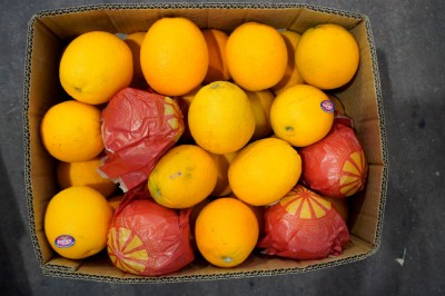 Foto Arance Varietà Valencia Calibro 64 Origine Egitto Marchio Citrus 2