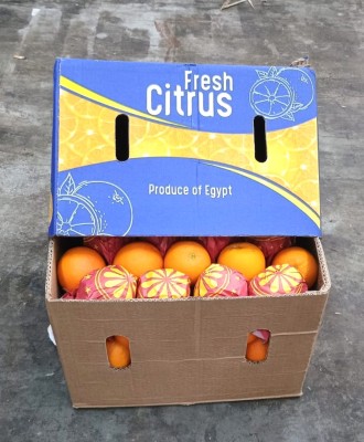 Foto Arance Varietà Valencia Calibro 72Origine Egitto  Marchio Citrus 1