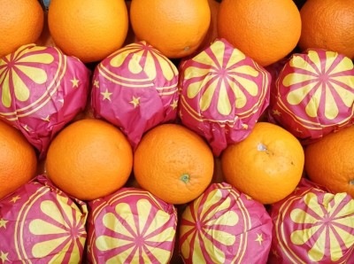 Foto Arance Varietà Valencia Calibro 72Origine Egitto  Marchio Citrus 2