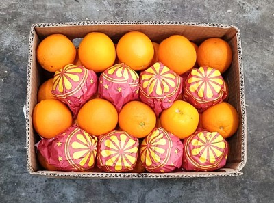 Foto Arance Varietà Valencia Calibro 72Origine Egitto  Marchio Citrus 3