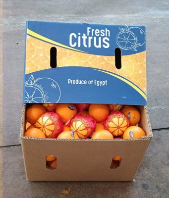 Foto Arance Varietà Valencia Calibro 80 Origine Egitto  Marchio Citrus           1
