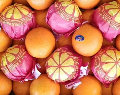 Foto Arance Varietà Valencia Calibro 80 Origine Egitto  Marchio Citrus           2