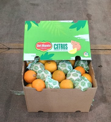 Foto Arance Varietà Valencia Calibro 64/72 Origine Costa Rica Marchio Citrus  1