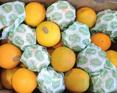 Foto Arance Varietà Valencia Calibro 64/72 Origine Costa Rica Marchio Citrus  2