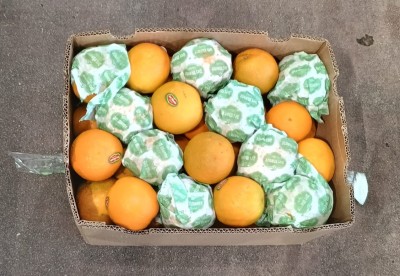 Foto Arance Varietà Valencia Calibro 64/72 Origine Costa Rica Marchio Citrus  3