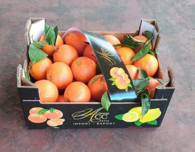 Foto Arance Varietà New Hall Calibro 160 Origine Italia Marchio Altimari  1