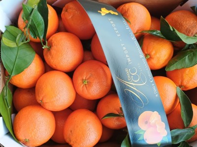 Foto Arance Varietà New Hall Calibro 160 Origine Italia Marchio Altimari  2