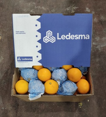 Foto Arance Valencia Calibro 72 Origine Argentina Marchio Ledesma                 1