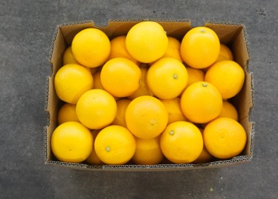 Foto Arance Varietà Valencia Calibro 56 Origine Sud Africa Marchio Alliance  3