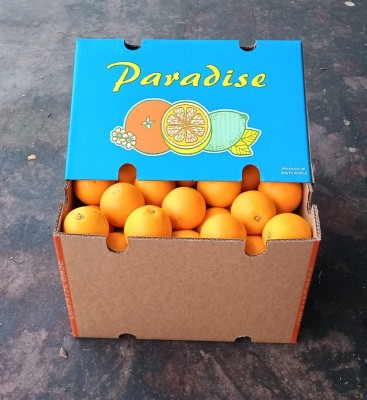 Foto Arance Varietà Valencia Calibro 88 Origine Sud Africa Marchio Paradise       1