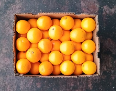 Foto Arance Varietà Valencia Calibro 88 Origine Sud Africa Marchio Paradise       3