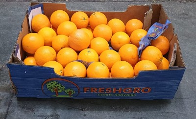 Foto Arance Varietà Midknight Calibro 60  Origine Sud Africa Marchio Freshgro              1