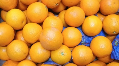 Foto Arance Varietà Midknight Calibro 60  Origine Sud Africa Marchio Freshgro              2