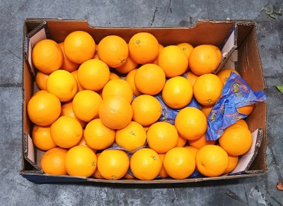 Foto Arance Varietà Midknight Calibro 60  Origine Sud Africa Marchio Freshgro              3