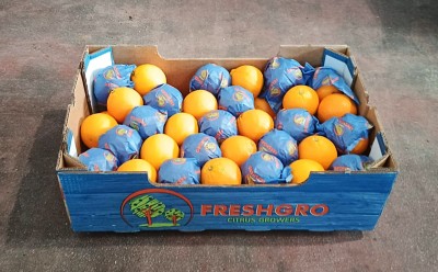 Foto Arance Varietà Midknight Calibro 65  Origine Sud Africa Marchio Freshgro 1