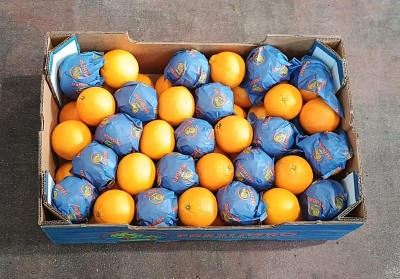 Foto Arance Varietà Midknight Calibro 65  Origine Sud Africa Marchio Freshgro 3