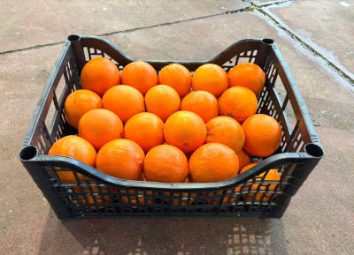 Foto Arance Navel Calibro 6 Origine Italia Marchio Hilias 1