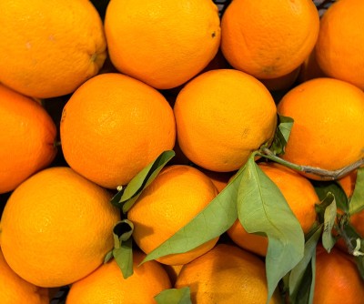 Foto Arance Navel Calibro 6 Origine Italia Marchio Hilias 2