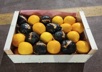 Foto Arance Navel Calibro 4 Origine Spagna Marchio Ruchey              1