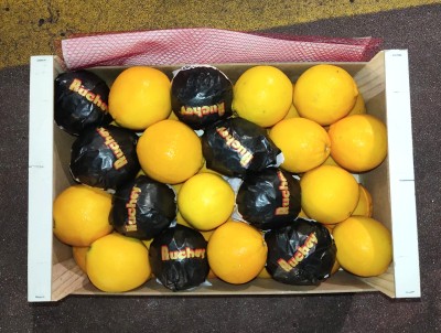 Foto Arance Navel Calibro 4 Origine Spagna Marchio Ruchey              3