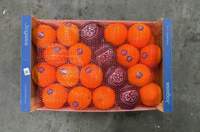 Foto Arance Navel Calibro 4/40 Origine Spagna  Marchio Jogasa 3