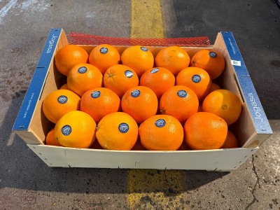 Foto Arance Navel Calibro 3/36 Origine Spagna Marchio Jogasa	     1