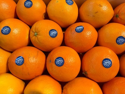 Foto Arance Navel Calibro 3/36 Origine Spagna Marchio Jogasa	     2