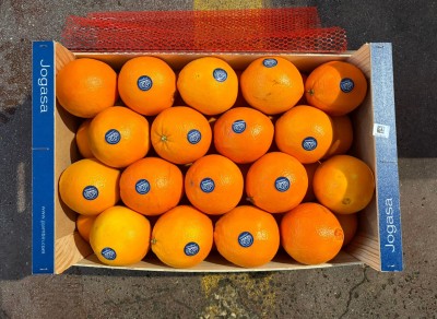 Foto Arance Navel Calibro 3/36 Origine Spagna Marchio Jogasa	     3