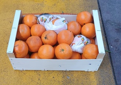 Foto Arance Varietà Powell Calibro 3 Origine Spagna Marchio Bf  1