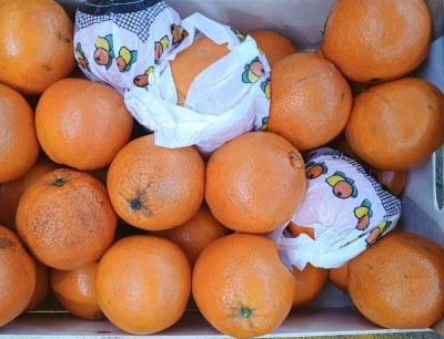 Foto Arance Varietà Powell Calibro 3 Origine Spagna Marchio Bf  2