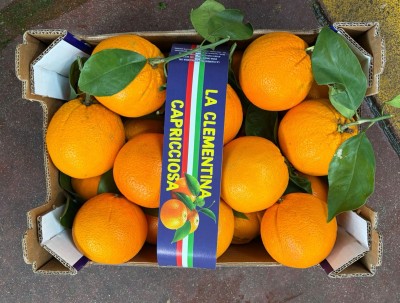 Foto Arance Navel Affogliate Calibro 1 Origine Italia Marchio Capricciosa 3