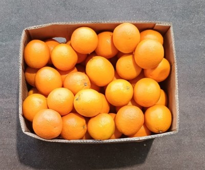 Foto Arance Varietà Valencia Calibro 80 Origine Egitto Marchio Fruttella  3