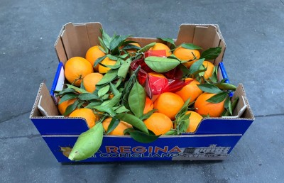 Foto Arance Navel Affogliate Calibro 8 Origine Italia Marchio Regina di Corigliano 1