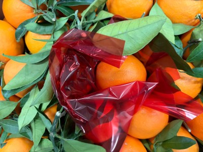 Foto Arance Navel Affogliate Calibro 8 Origine Italia Marchio Regina di Corigliano 2