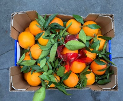 Foto Arance Navel Affogliate Calibro 8 Origine Italia Marchio Regina di Corigliano 3