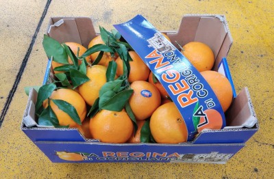 Foto Arance Navel Calibro 2 Origine Italia Marchio Regina    1