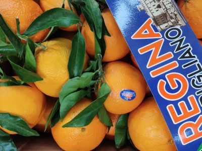 Foto Arance Navel Calibro 2 Origine Italia Marchio Regina    2