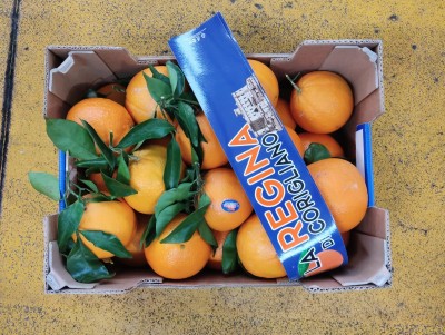 Foto Arance Navel Calibro 2 Origine Italia Marchio Regina    3