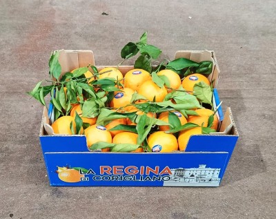 Foto Arance Navel Calibro 8  Origine Italia Marchio  Regina 1