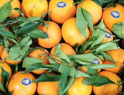 Foto Arance Navel Calibro 8  Origine Italia Marchio  Regina 2