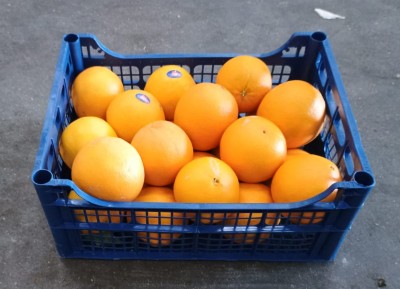 Foto Arance Navel Calibro 2 Origine Italia Marchio Acri 1