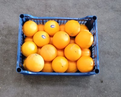 Foto Arance Navel Calibro 2 Origine Italia Marchio Acri 3