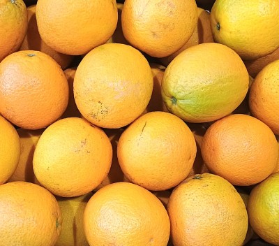 Foto Arance Varietà Valencia  Calibro 64 Origine Egitto Marchio Vegeree   2