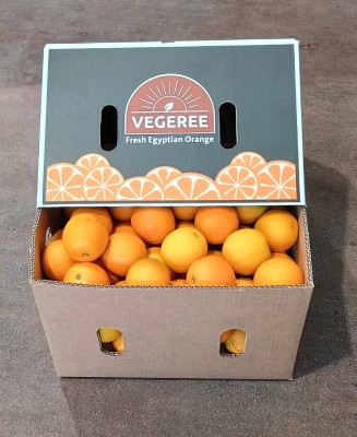 Foto Arance Varietà Valencia  Calibro 100 Origine Egitto Marchio Vegeree 1