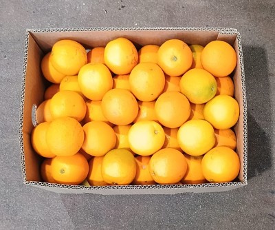 Foto Arance Varietà Valencia  Calibro 100 Origine Egitto Marchio Vegeree 3