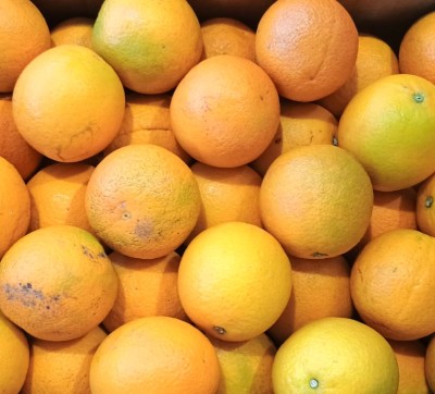 Foto Arance Varietà Valencia  Calibro 88 Origine Egitto Marchio Vegeree 2