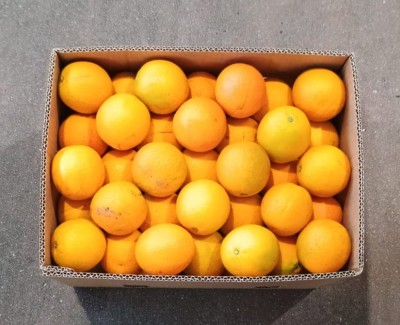 Foto Arance Varietà Valencia  Calibro 88 Origine Egitto Marchio Vegeree 3