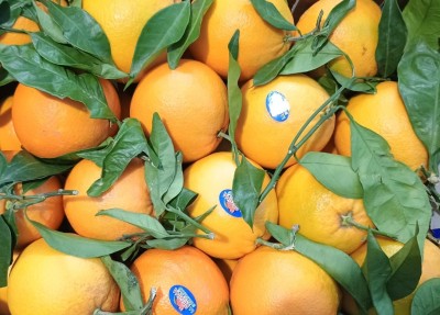 Foto Arance Navel Affogliate Calibro 4 Origine Italia Marchio La Regina di Corigliano  2